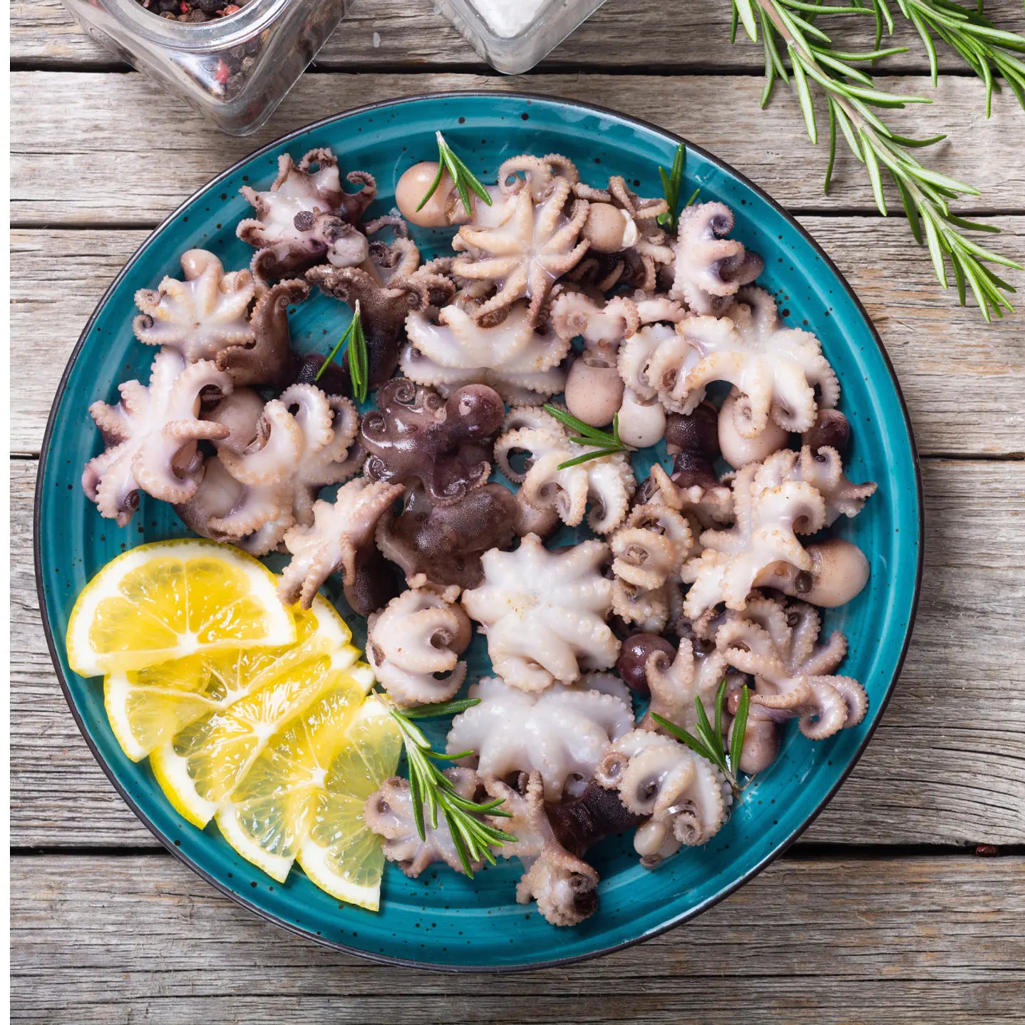 Baby Pulpo