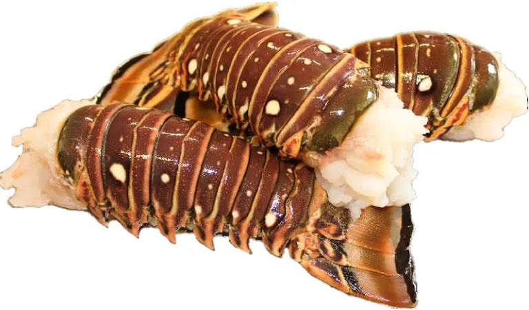 Colitas de langosta